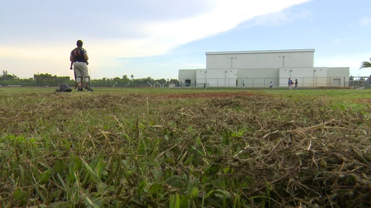 Miami Central High School baseball coach hopes to restore field for team