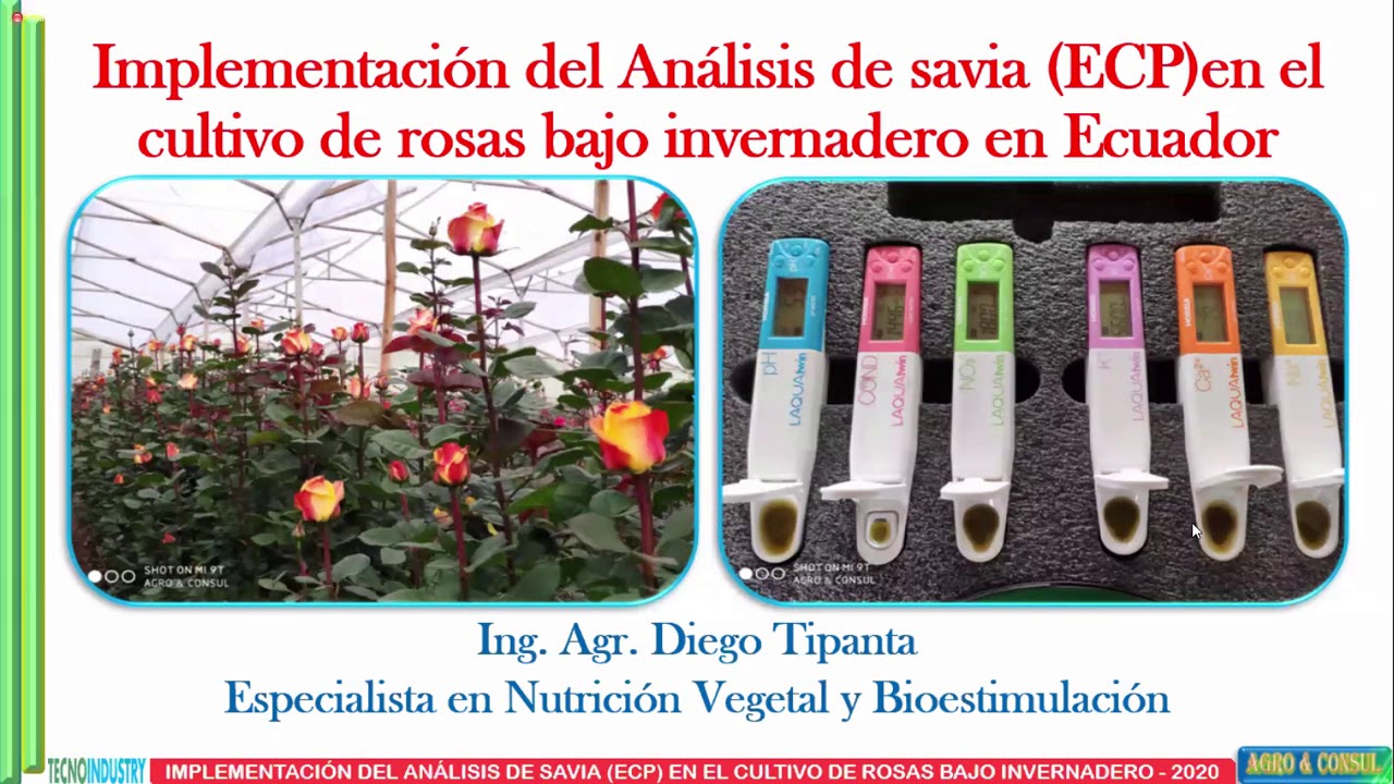 Seminario web Análisis de nutrientes en savia para cultivo de rosas
