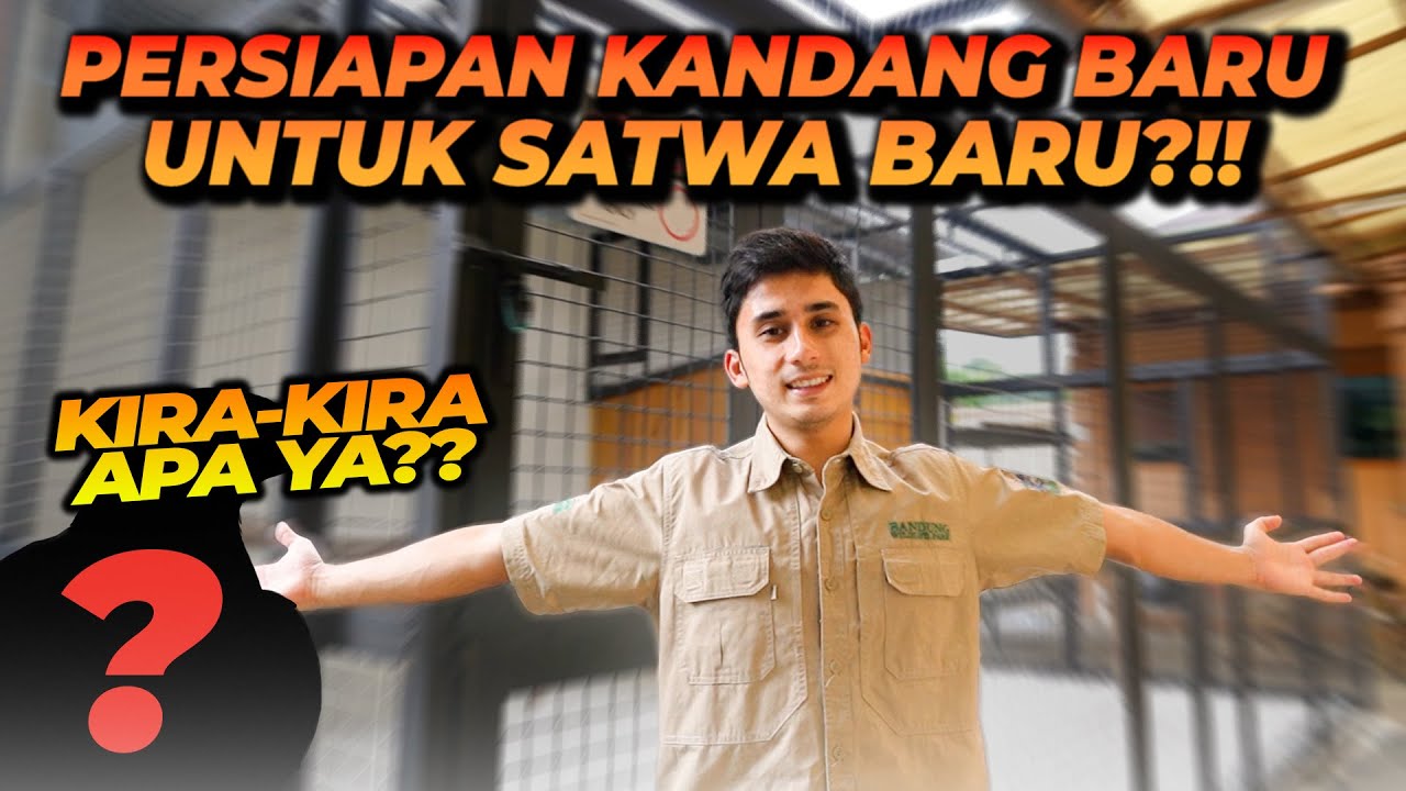 ALSHAD MEMPERSIAPKAN KANDANG UNTUK KEDATANGAN SATWA BARU LAGI !! KIRA2 SATWA APA YA ?!