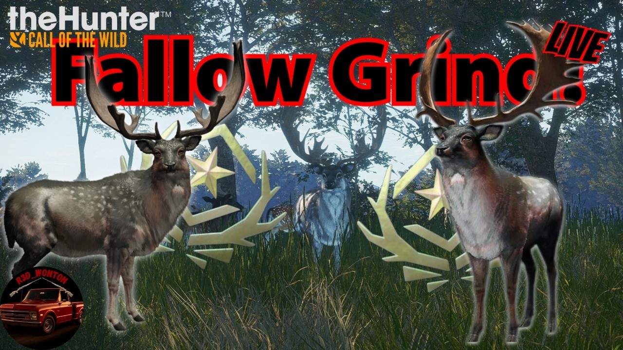 Almost completely redoing my fallow HM LIVE! | Hunter Call of the Wild