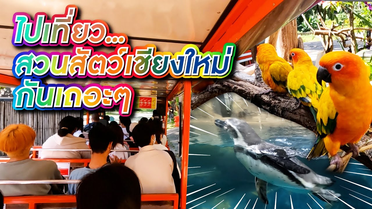พาเที่ยวสวนสัตว์เชียงใหม่ กันอย่างจุใจ Chiang Mai Zoo the Exotic Species and fascinating wildlife