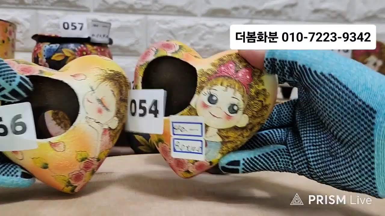 더봄화분 라이브 방송