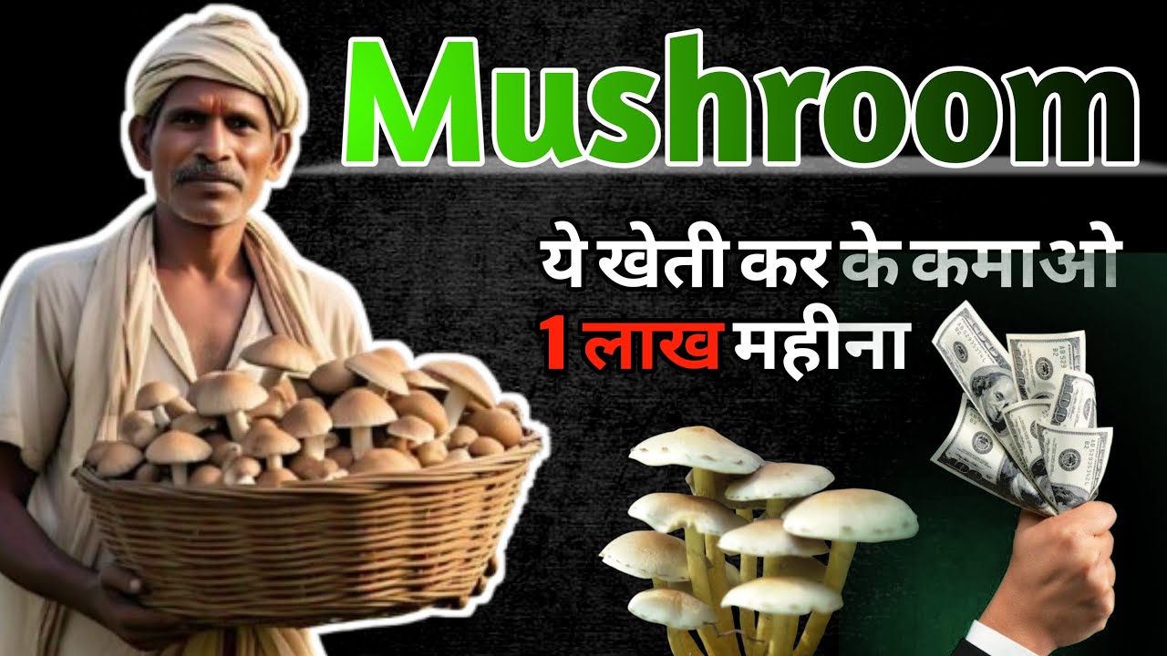 मशरूम कि खेती से बने करोड़पति | Complete knowledge of Mushroom Farming | High Profit ,Low Investment