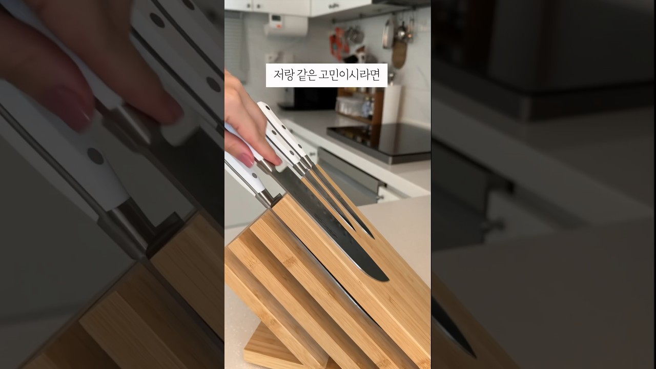 드디어 찾은 우리집에 딱 맞는 추천템 #내돈내산