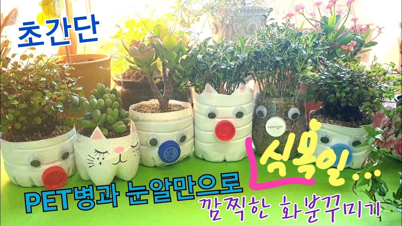 [식목일 DIY ] Arbor_day PET병과 눈알만으로 깜찍한 실내정원꾸미기