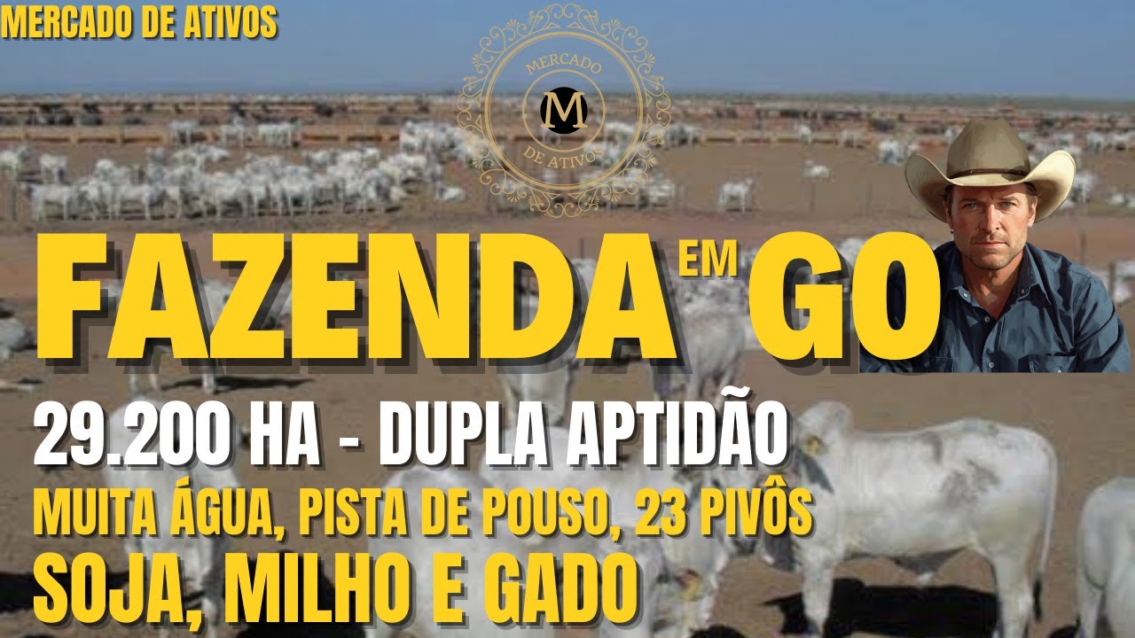 GRANDE FAZENDA COM 29.200 HÁ NO GOIÁS 100% ESTRUTURADA DUPLA APTIDÃO MUITA ÁGUA - MercadodeAtivos