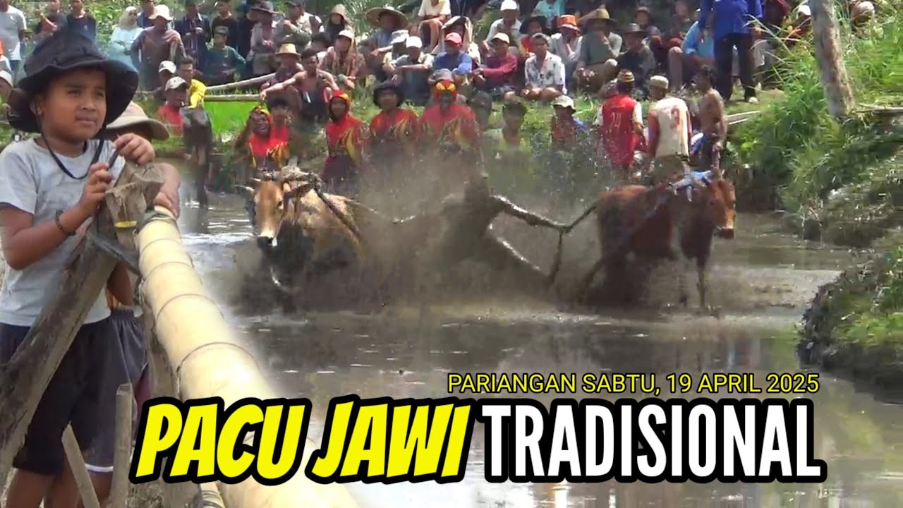 PACU JAWI‼️PARIANGAN SABTU 19 APRIL 2025