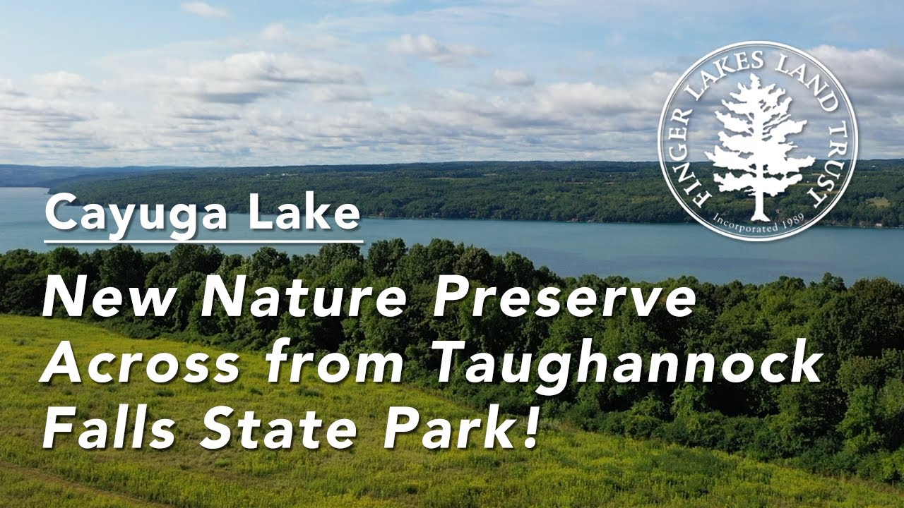 A New Nature Preserve Overlooking Cayuga Lake: See the Sims-Jennings Preserve at Cayuga Cliffs!