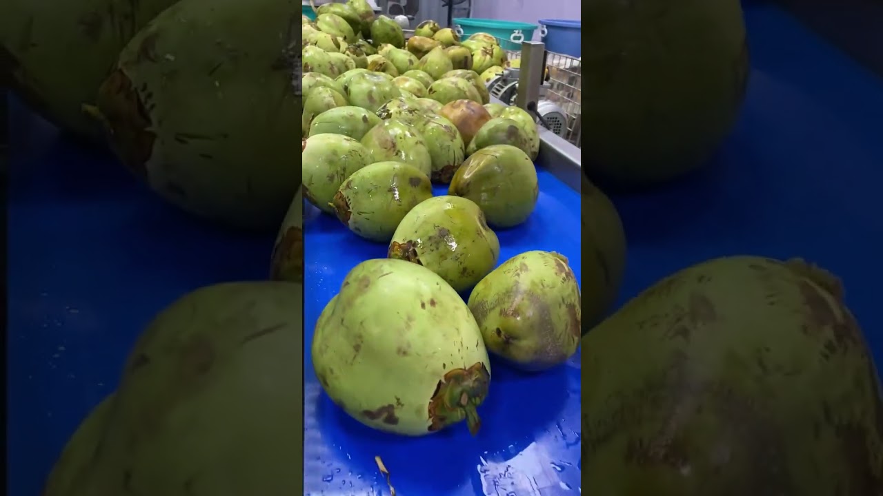 traditional dab cutting machine  washing machine #mukbang #foodvloger #osmanhadi #youareoneofakind