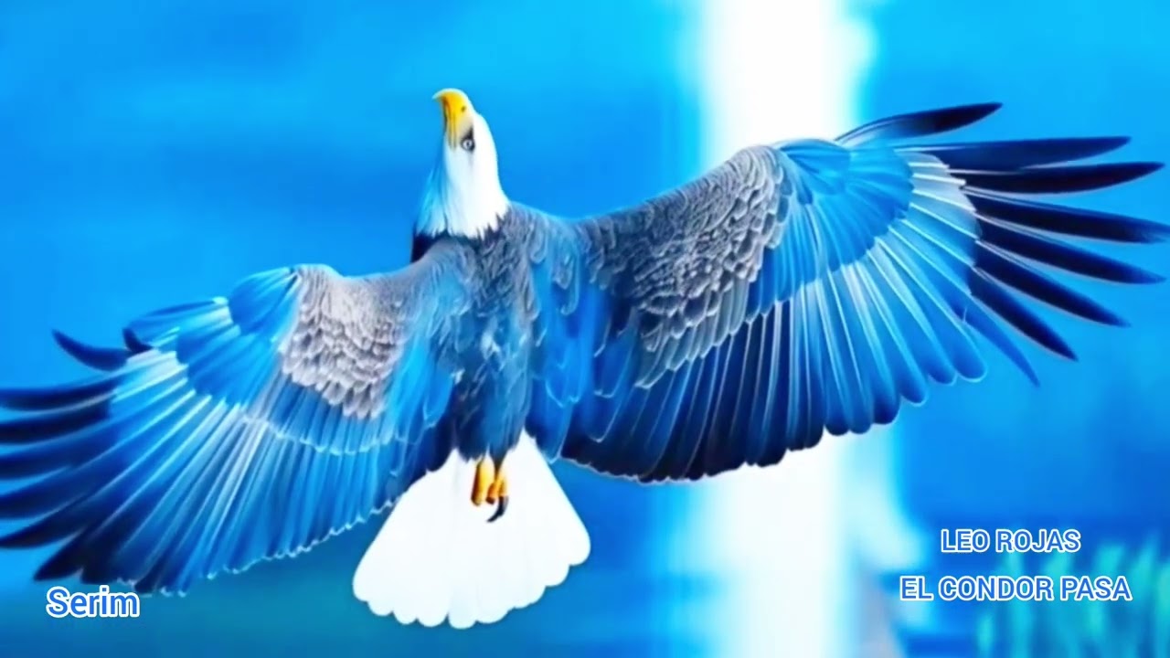 Leo Rojas 🌀 El Condor Pasa