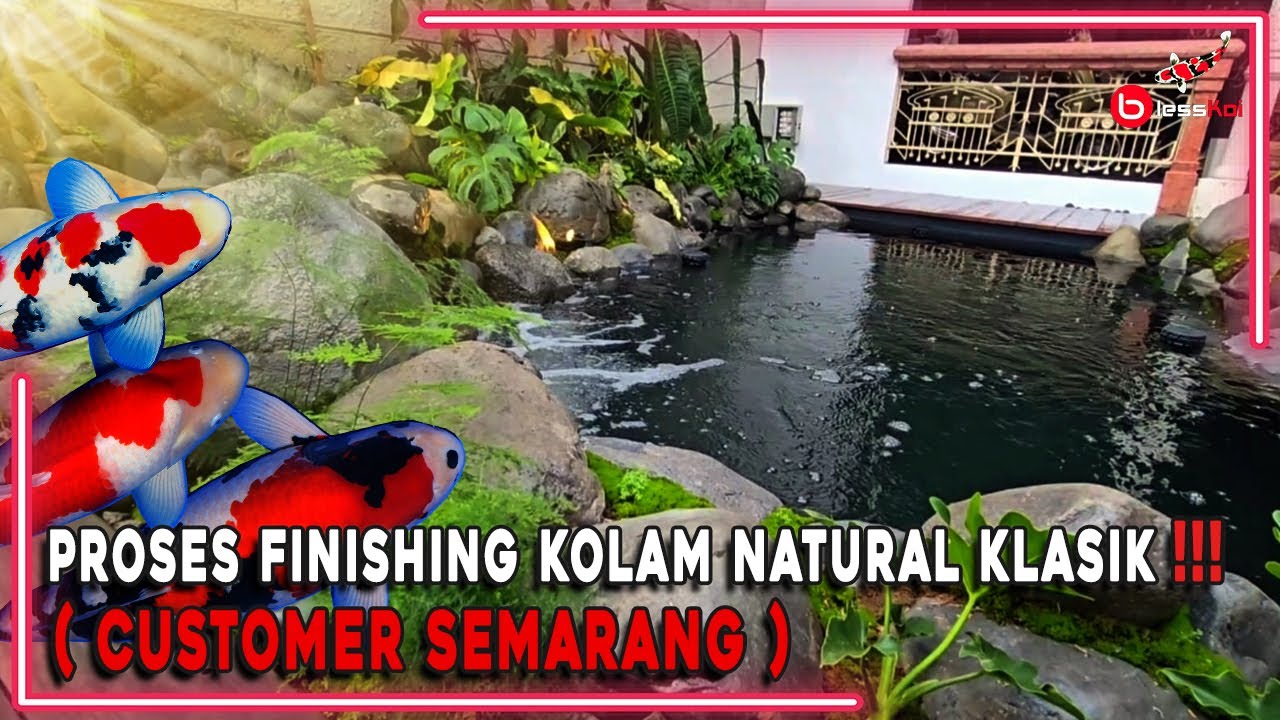 PROSES FINISHING KOLAM NATURAL KLASIK ❗️❗️❗( CUSTOMER SEMARANG )