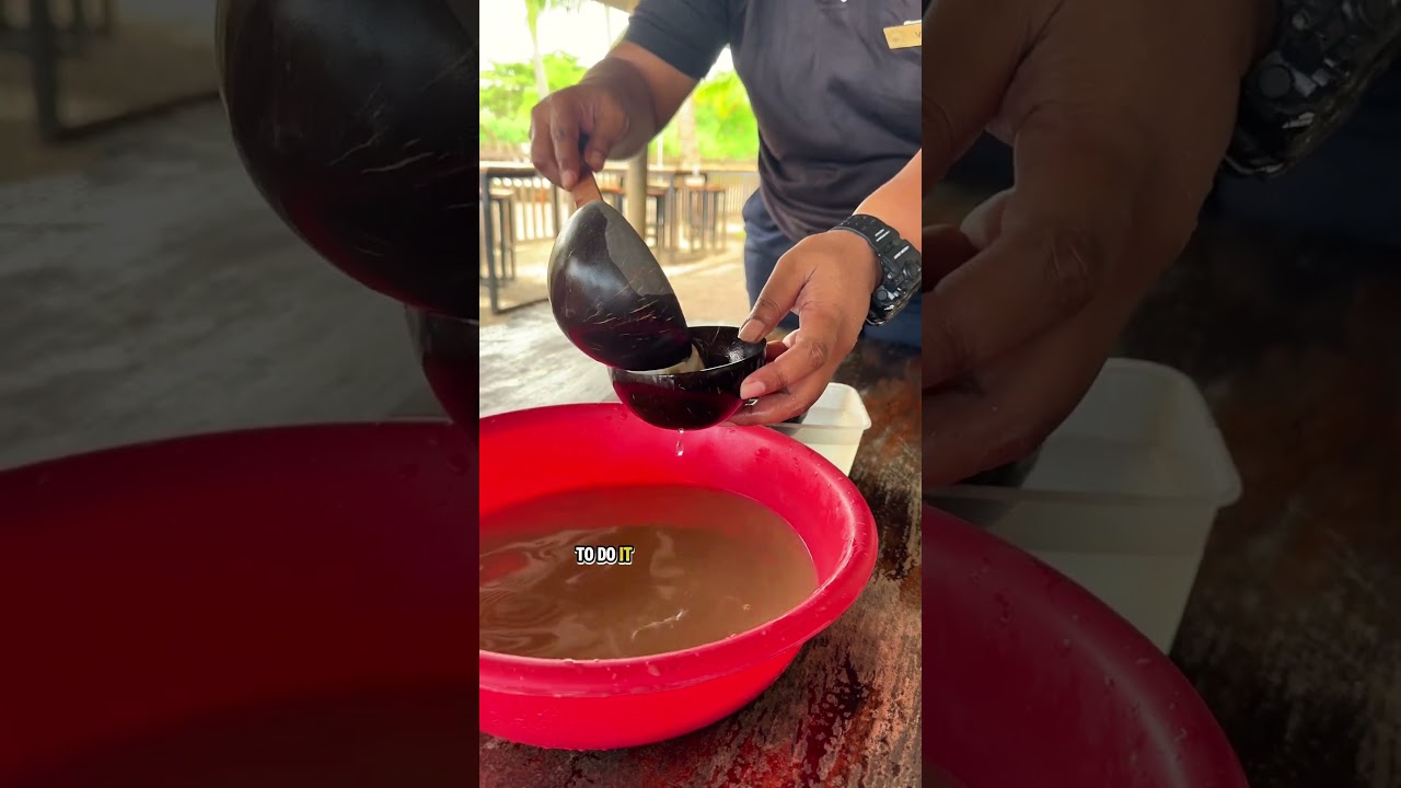 FIRST TIME TRYING KAVA IN NADI, FIJI 🇫🇯 