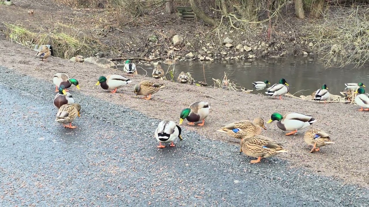 24. marraskuuta 2025