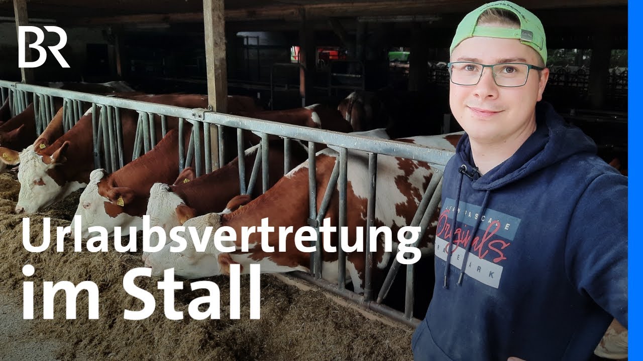 Wenn der Landwirt Urlaub hat: Melkhelfer in der Viehwirtschaft | Schwaben + Altbayern | BR
