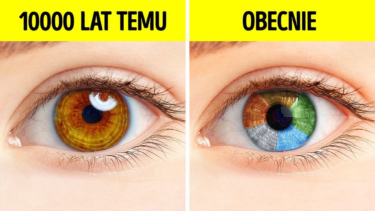 Kiedyś wszyscy ludzie mieli jednakowy kolor oczu