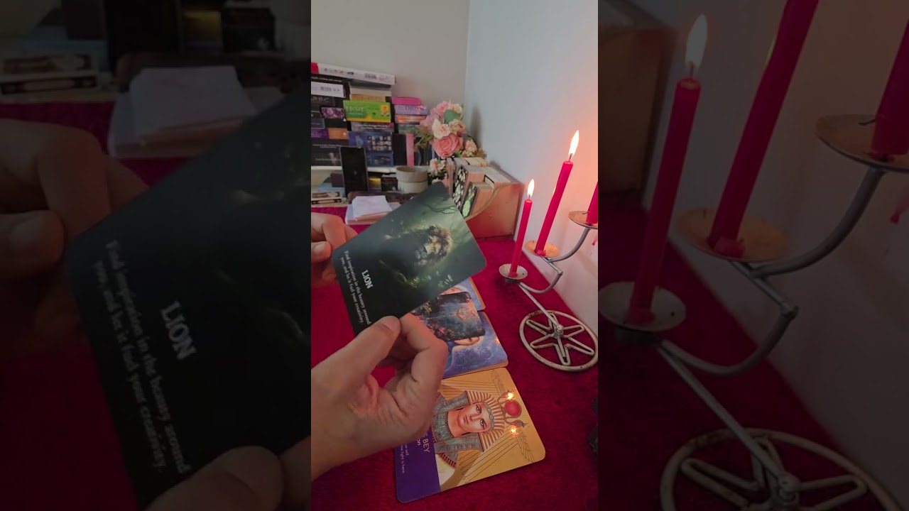 Reading Energy Frequency Check 