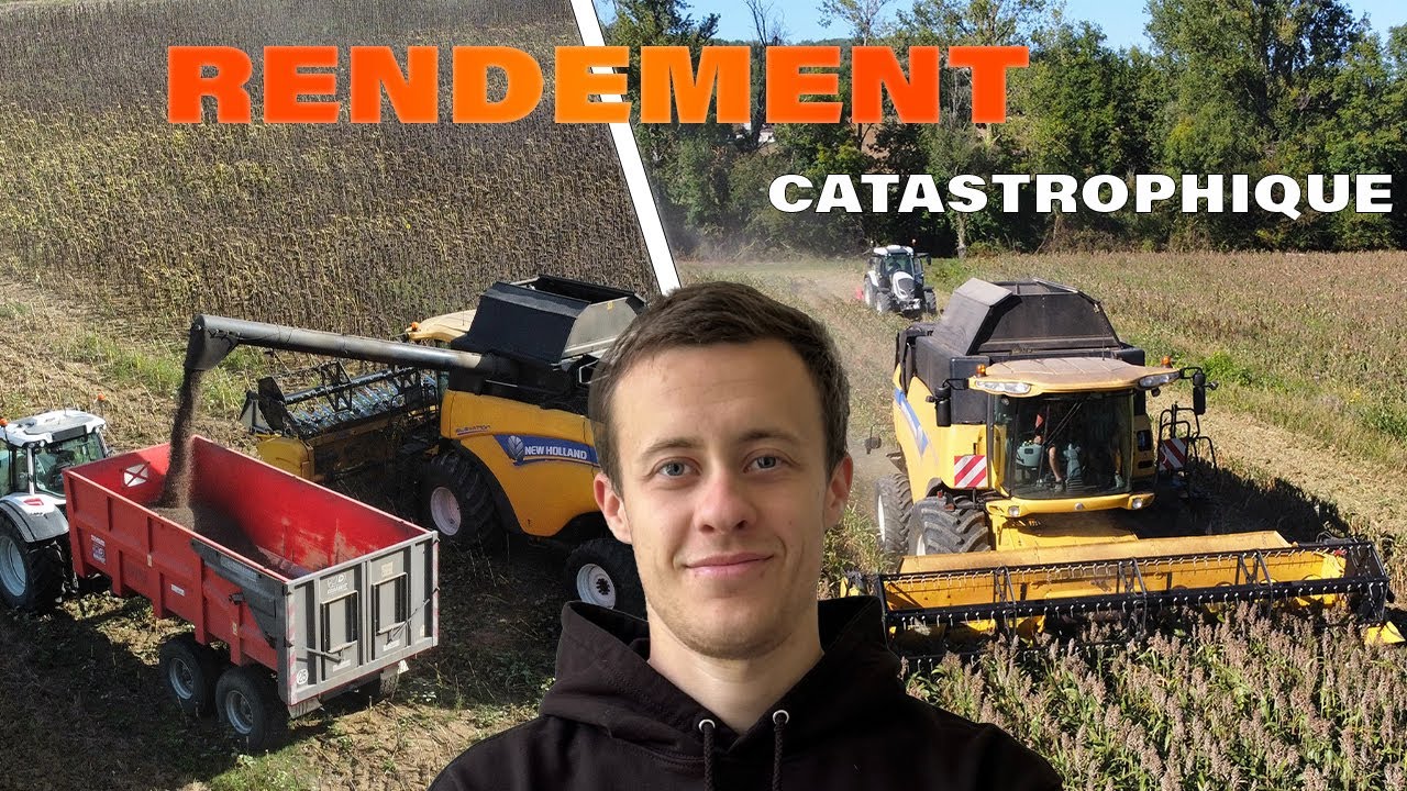 Enfin les moissons on lève pas le pied !!!