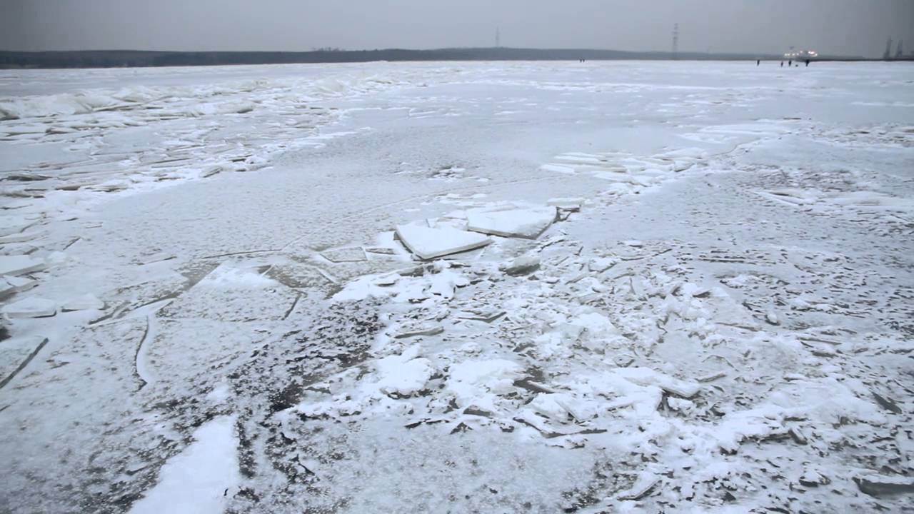 Frozen lagoon in Lithuania / Už&scaron;alusios Kur&scaron;ių marios