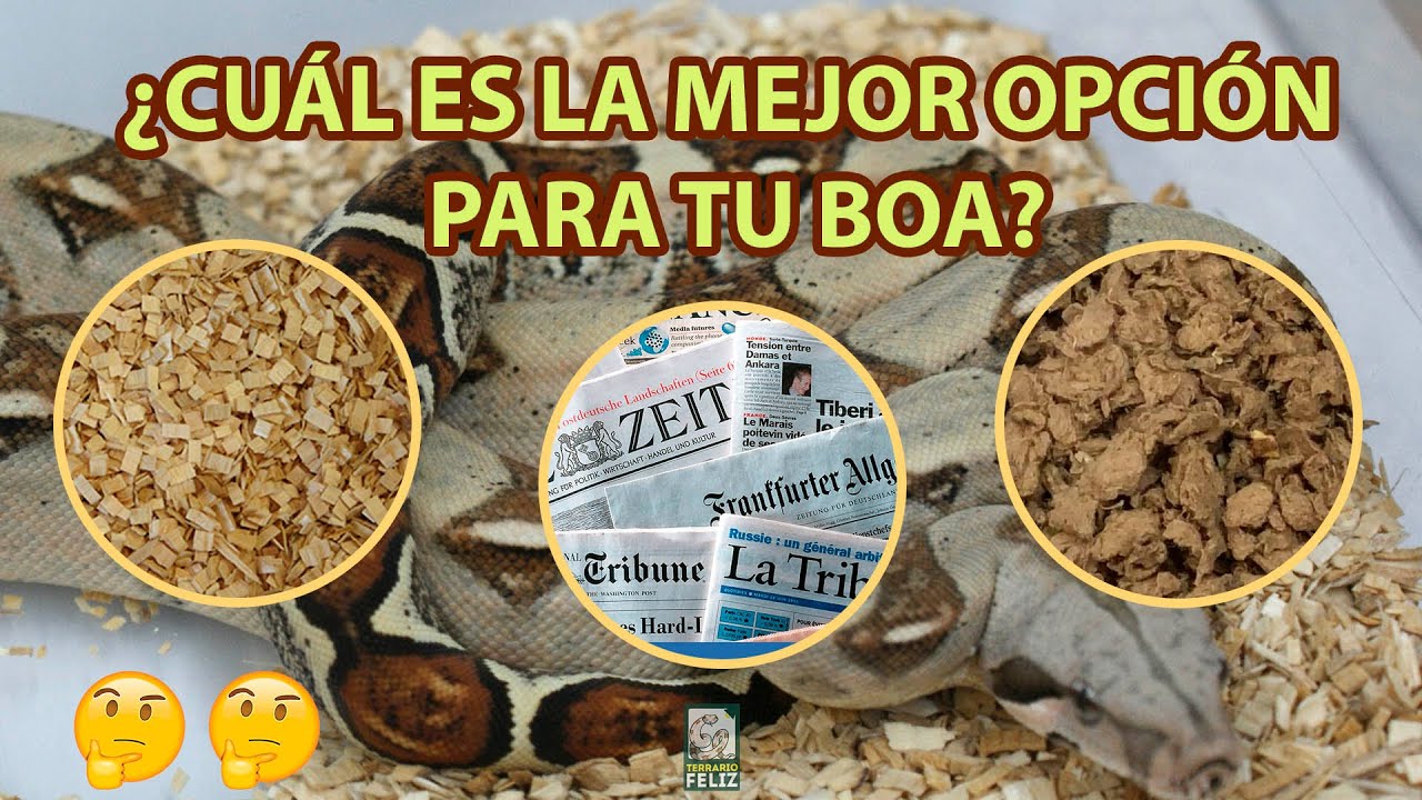 ¡SUSTRATOS para SERPIENTES! - El Terrario Feliz