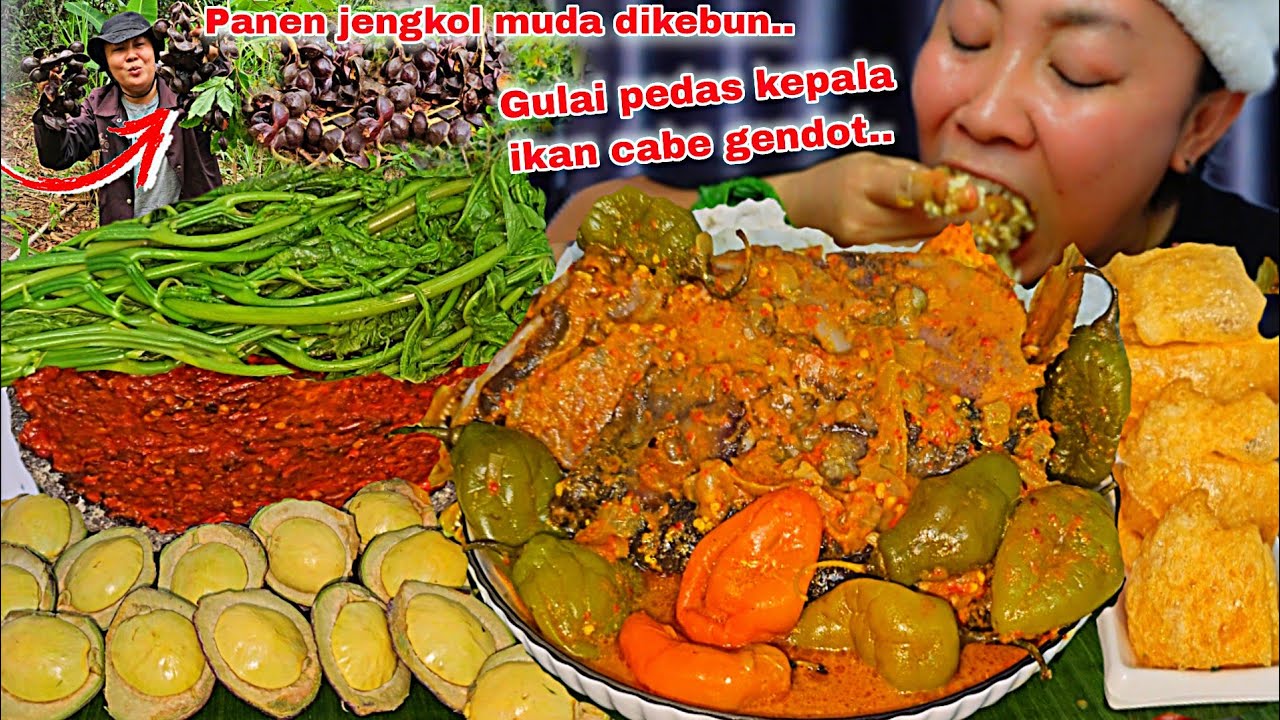PANEN JENGKOL MUDA DIKEBUN, GULAI PEDAS KEPALA IKAN CABE GENDOT ,ENAK BANGET🤤