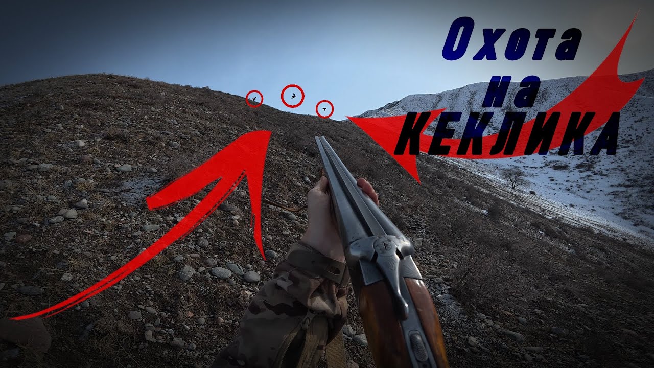 Охота На КЕКЛИКА | Chukar Hunting | ИЖ-58 МА | Охота с Горизонталкой