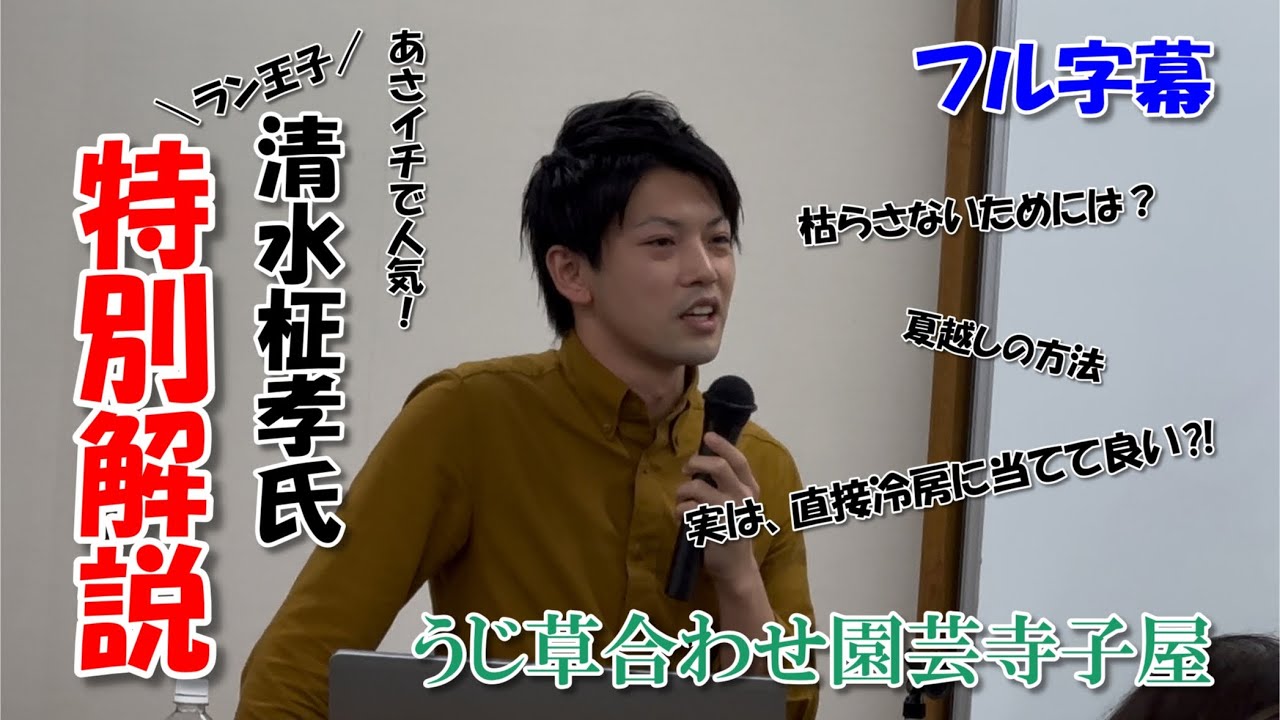 【必見】洋ラン栽培新常識！あさイチ出演のプロが熱弁 世界一わかりやすい園芸寺子屋 洋ラン&パフィオ編