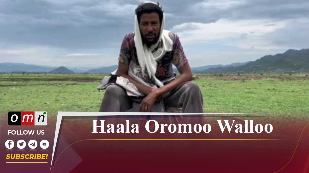Haala Oromoo Walloo