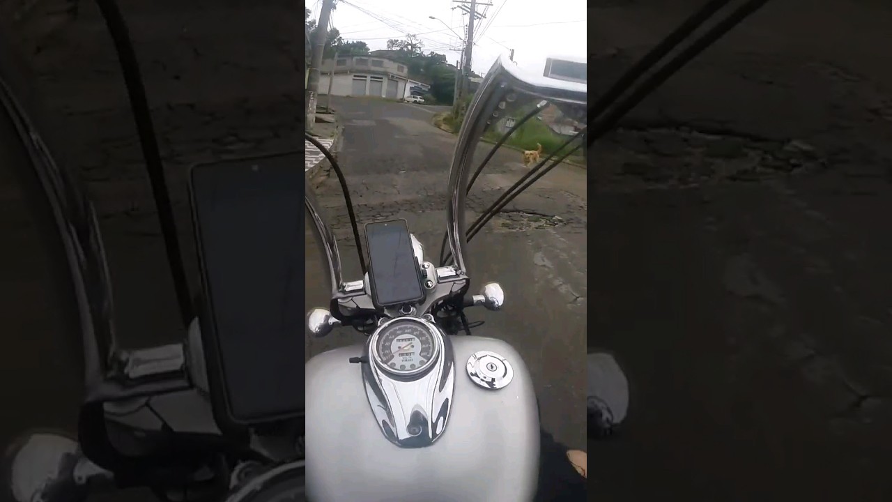 Os doguinhos n&atilde;o gostaram do ronco da Dragstar 650! #motovlog #dragstar650 #yamaha #cachorro