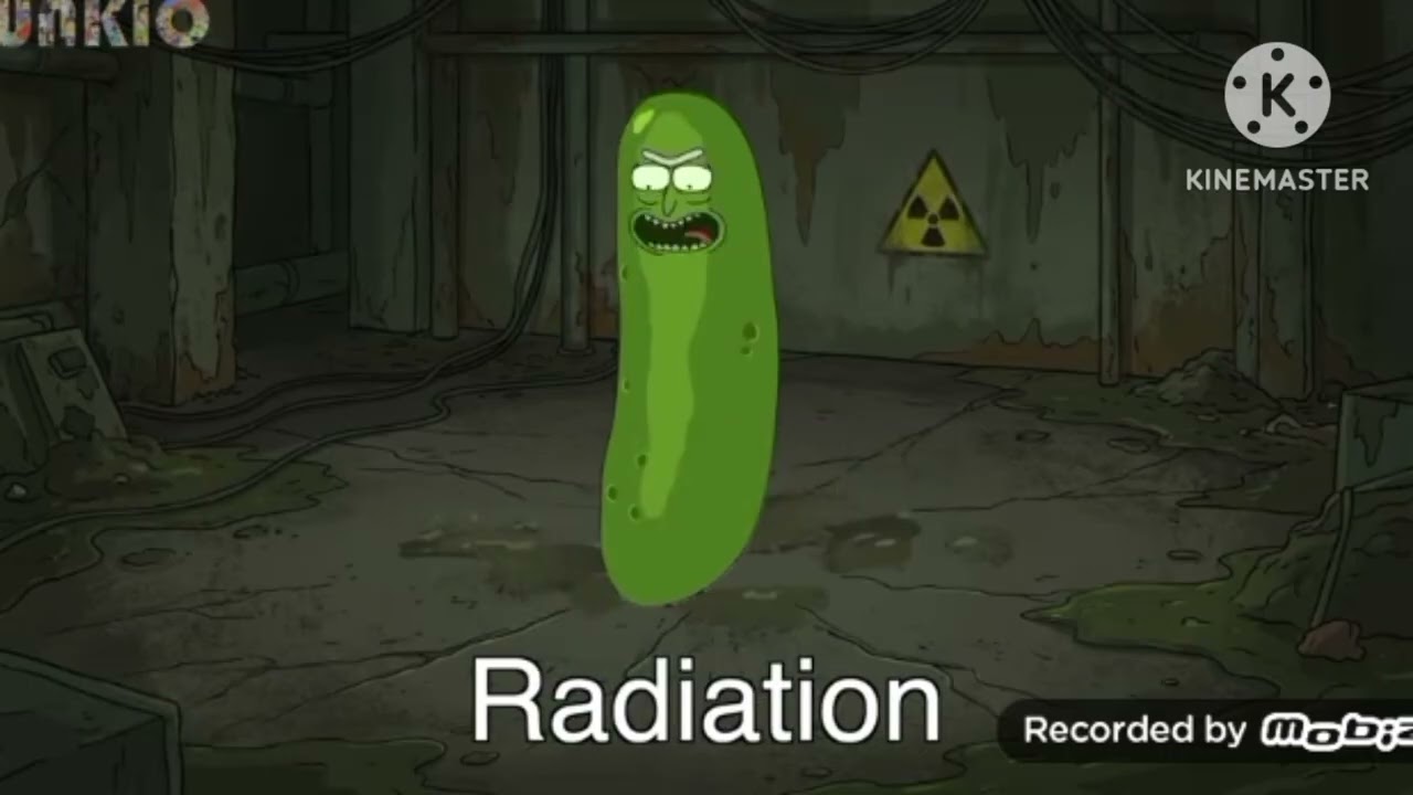 12 pickle rick sound variations in 30 second