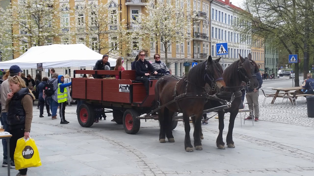 Velkommen til Alna RIdesenter
