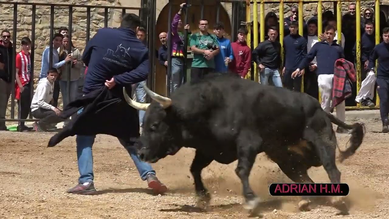 Puertomingalvo(Te) 18-05-2024 Videoclip Resumen