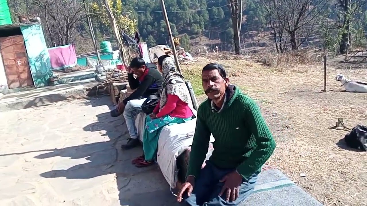आवारा बहु जानवरों कौ बिशन राम उर्फ बड़े बाबू ल आपण घर मैं धरबेर उनर सेवा करनेयी