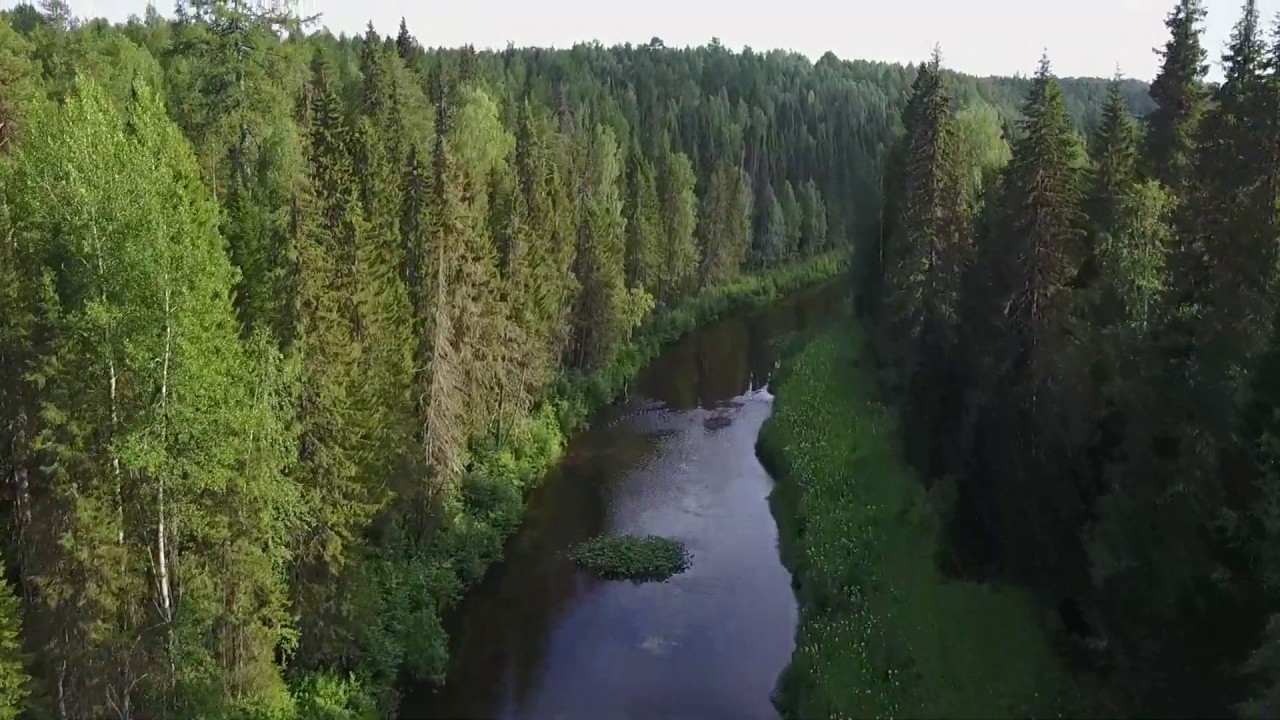 Северная природа бесподобно красива.Речка Пожег в Республике Коми