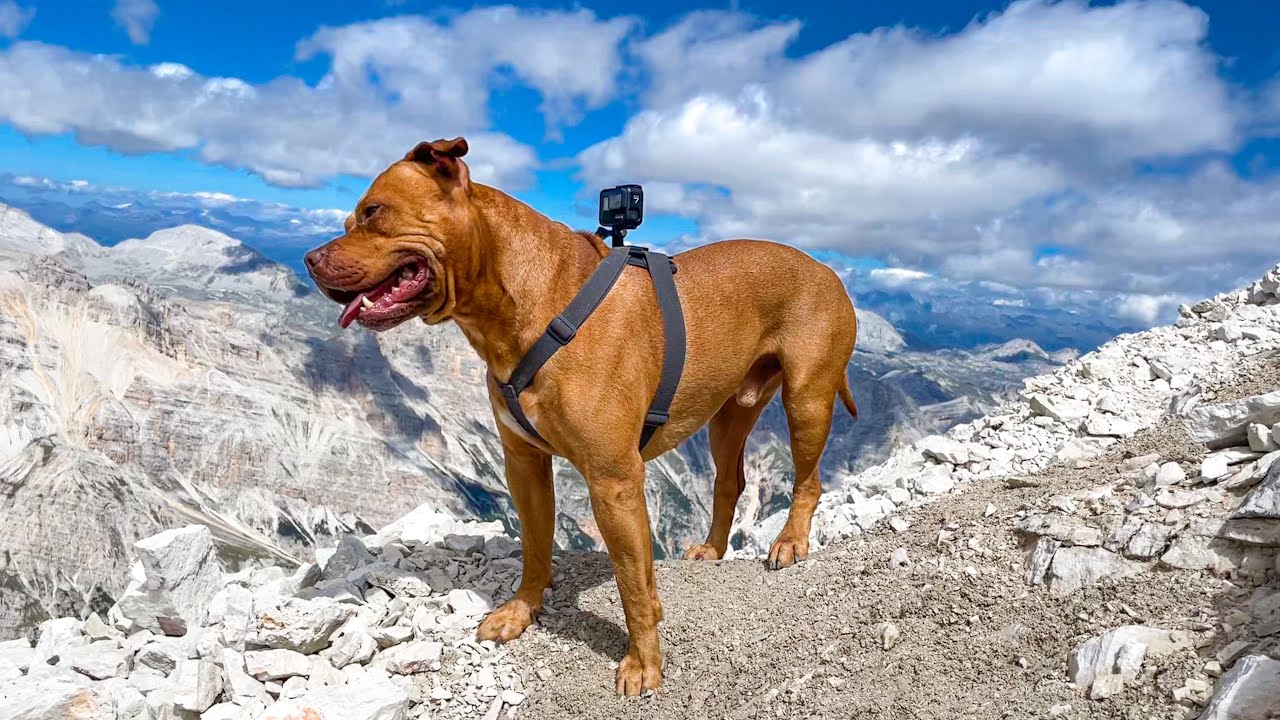 Tofana di ROZES (Dolomiti)