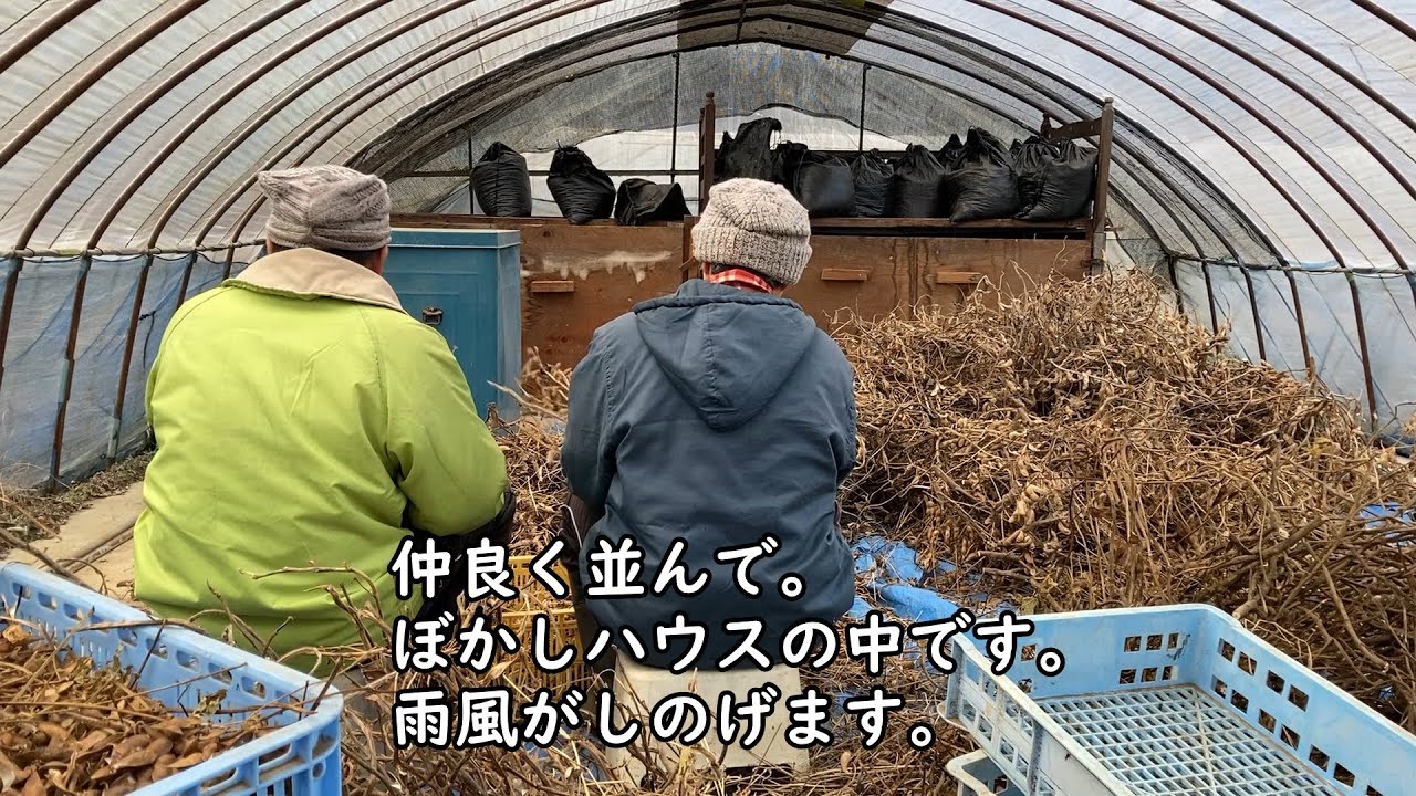 【おとな自閉症青年の日常】次男　大豆選別作業／長男　ゲーム機が壊れた／次男　ストローマグ