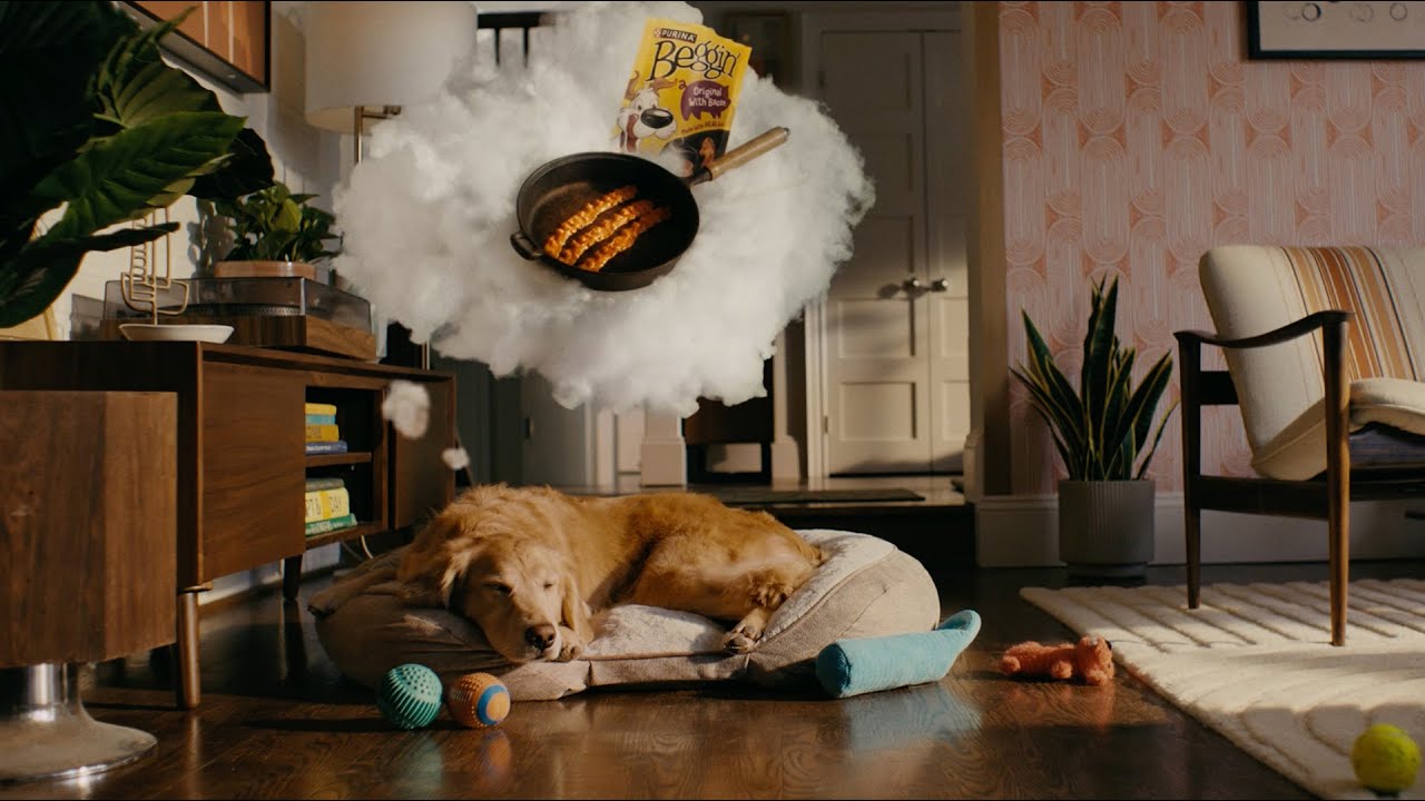 Bacon Flavored Dog Treats: Nothing Else Gets a Dog THIS Hyped!