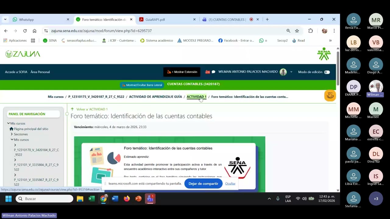 CUENTAS CONTABLES 20260217 123234 Grabación de la reunión