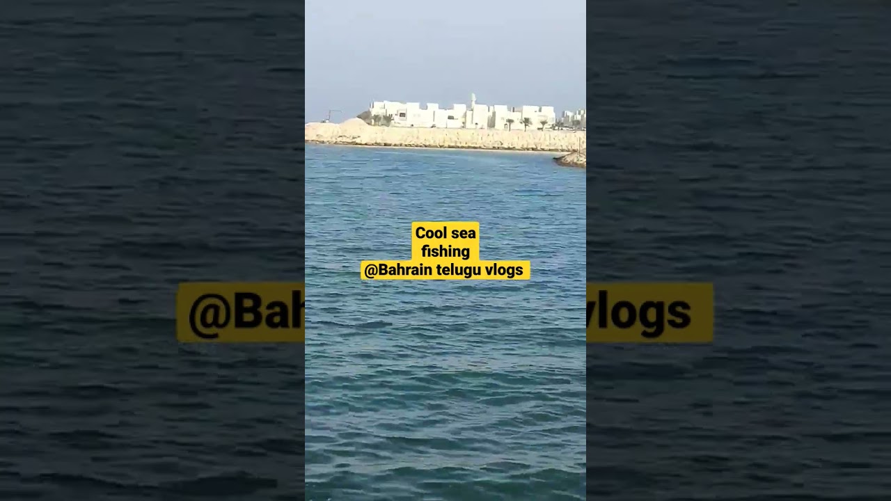 #bahrain #sea #kingdomofbahrain #seafood #youtubeshorts #shorts @Bahrainteluguvlogs