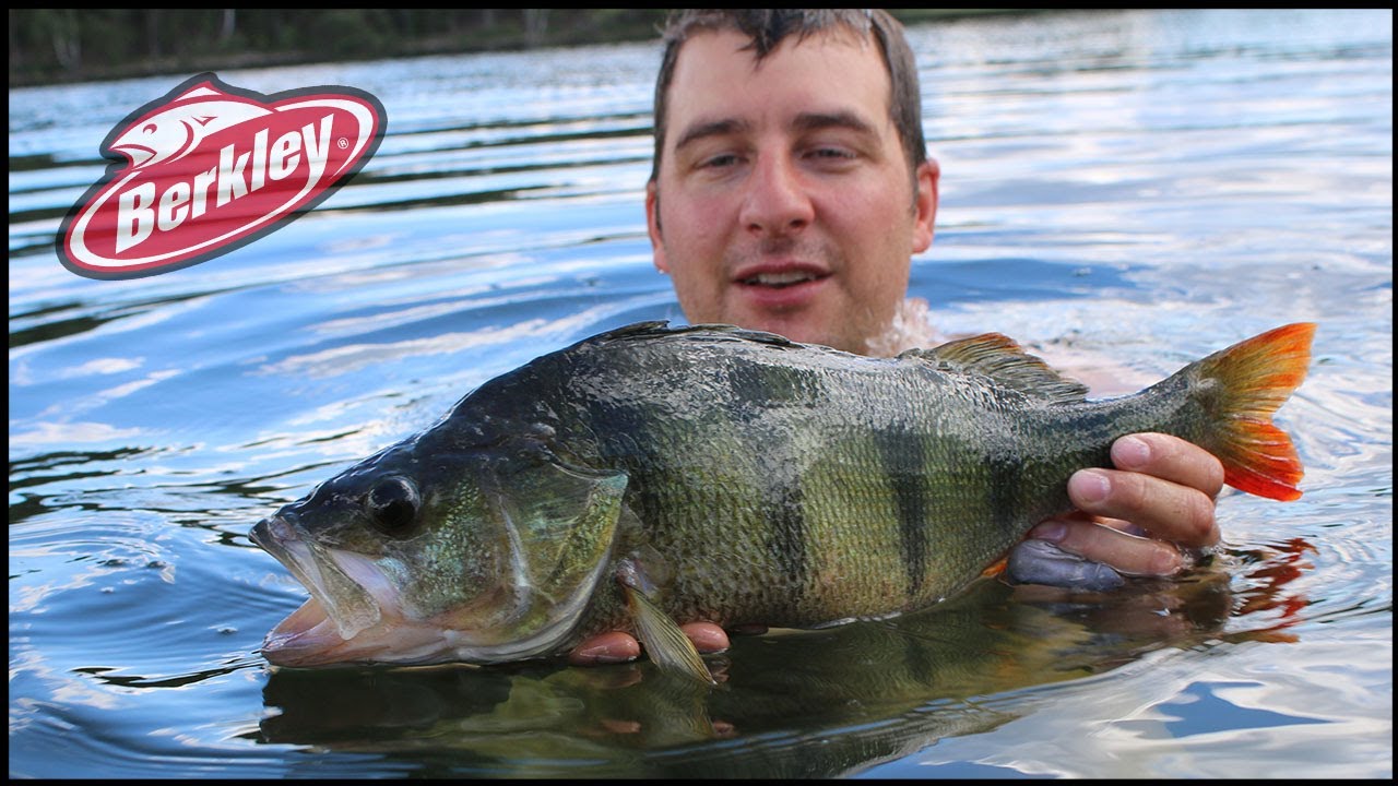 3 tips för CHATTERBAIT