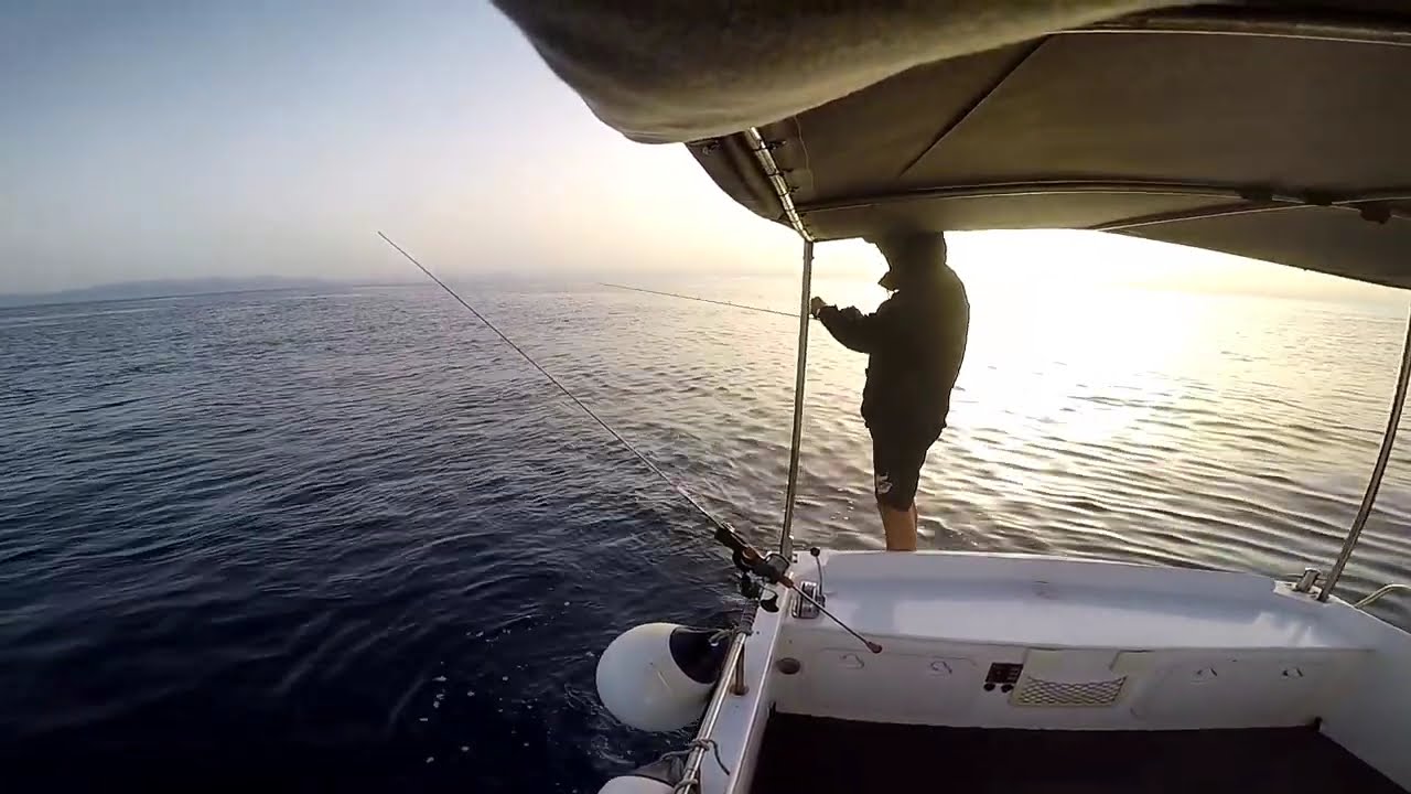 Slow Pitch Jigging Masters 