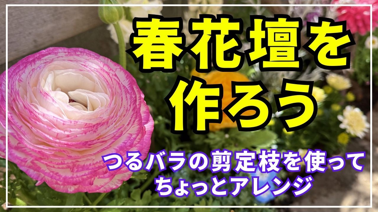 【春花壇作り】１４株の花苗とつるバラの剪定枝と丸太でアレンジした春花壇を作る動画です。