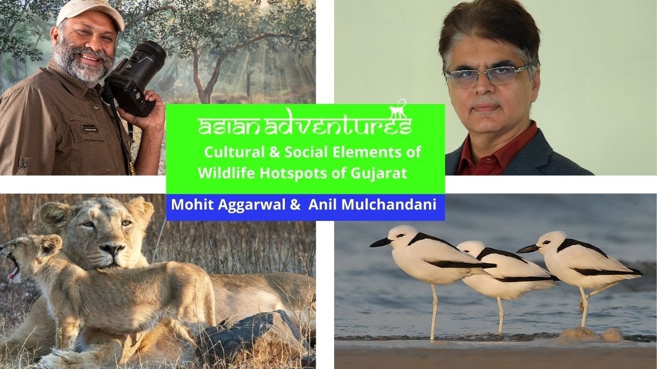 5 Top Wildlife Destinations of Gujarat With Anil Mulchandani | Hosted By Mohit