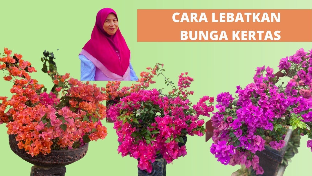 Cara Lebatkan Bunga Kertas 🪴💐