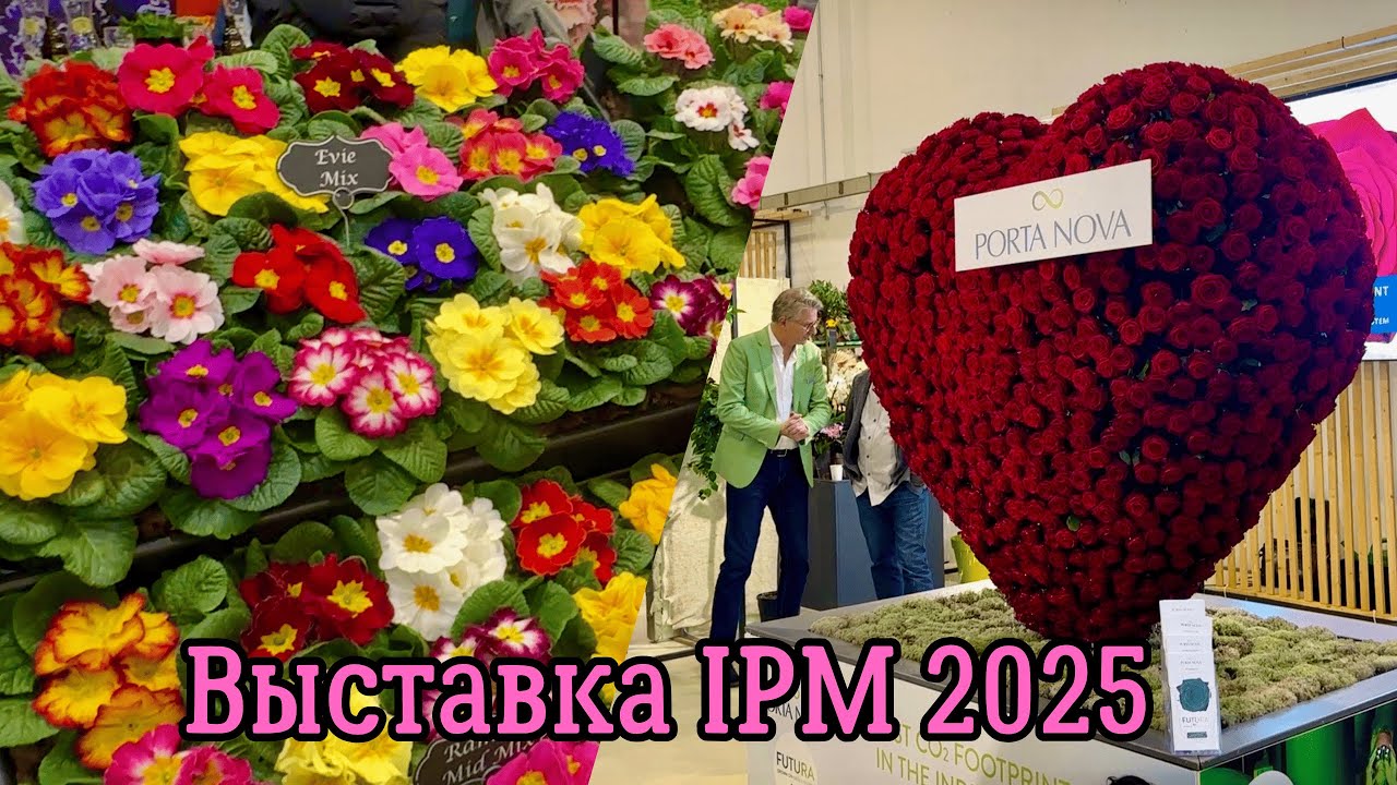 Лучшая выставка растений и цветов в Германии. IPM 2025