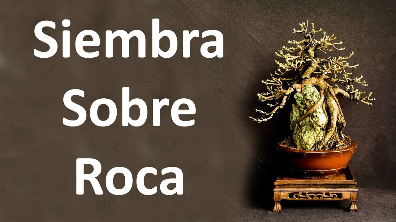 Siembra Sobre Roca