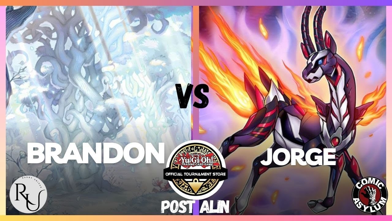 WHITE FOREST vs SALAMNGREAT - ROUND 2 - COMIC ASYLUM