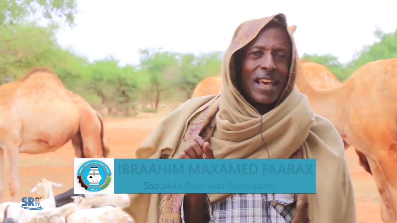 JARAR DOCUMENTERY FILM SEDEX SANO OO KA FIICAN 30 SANO