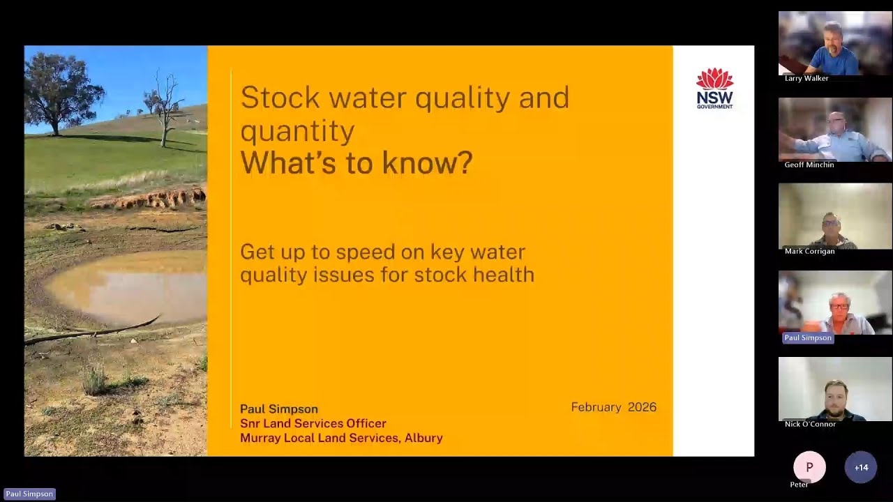 Stock water quality and quantity – what's to know?