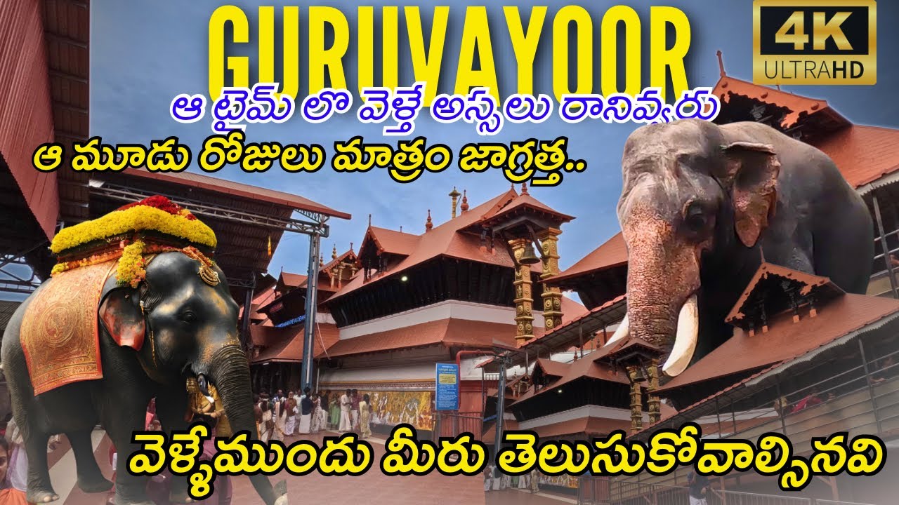 How to reach Guruvayur temple kerala | Guruvayoor tour plan in telugu |
