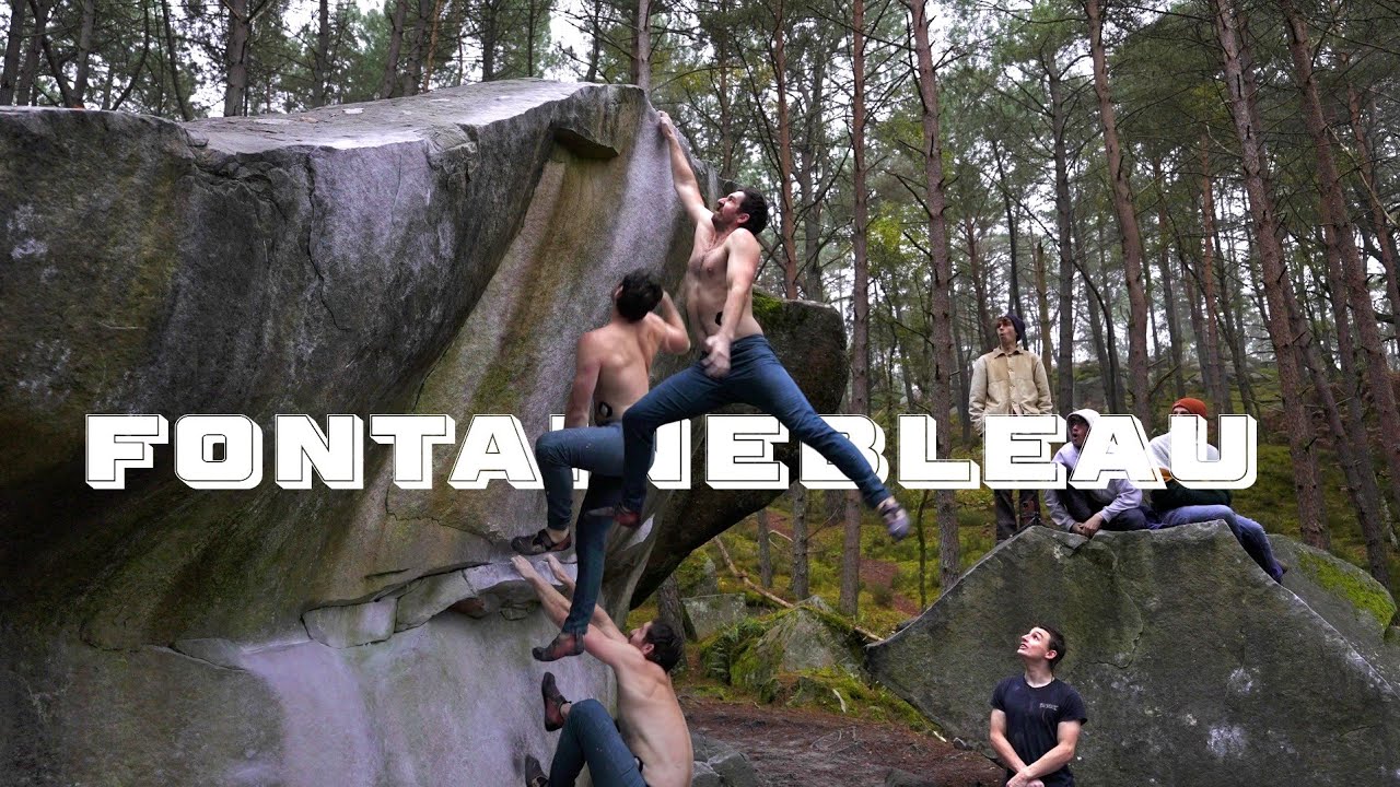 Fontainebleau in Flight